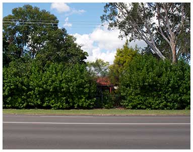 View of street frontage